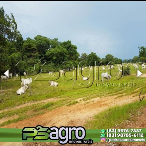Imagem 10 de 14 de Fazenda À Venda, 34385 Hectares Por R$ 170.000.000 - Centro Norte - Cuiabá/mt - Fa0115