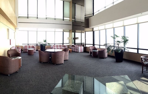 Imagen 3 de 14 de Lomas De Chapultepec, Excelente Departamento Recién Remodela