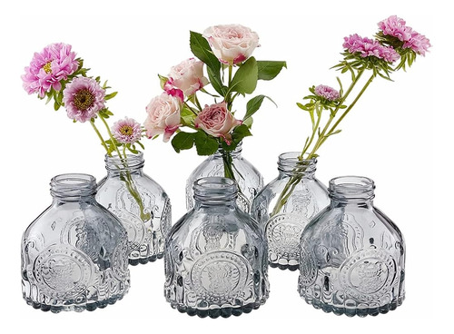 Hovico Glass Bud Vases Set De 6, Mini Botellas Vintage, Para