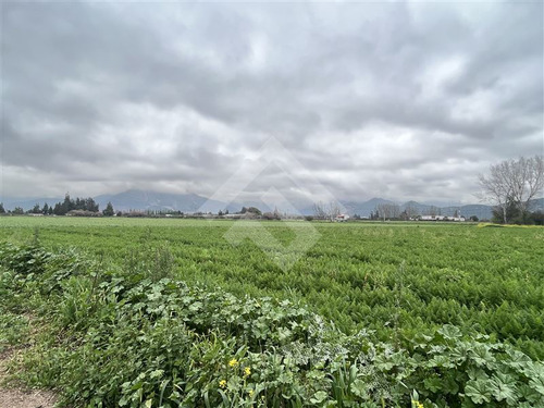 Sitio Industrial En Venta En Llay Llay