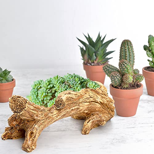 Hiceeden Maceta Artificial Para Suculentas De Madera Flotant