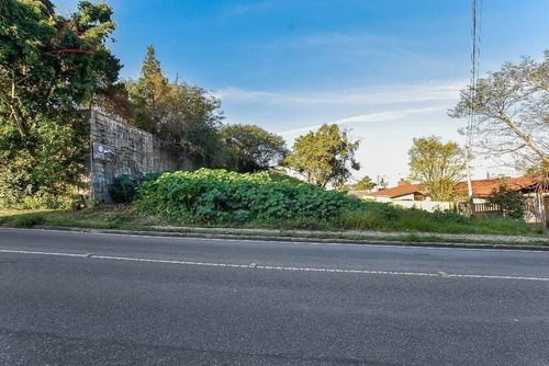 Imagem 1 de 6 de Terreno Para Venda - 91782.001