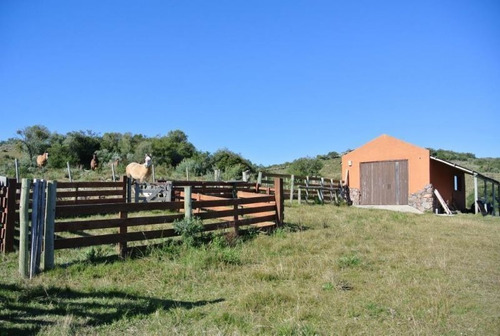 Quinta En Venta De 4 Dormitorios En Sierra De Caracoles