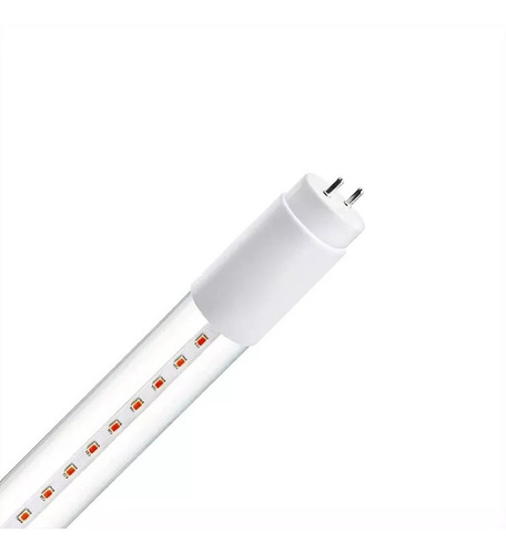 Tubo Led 18w T8cv Crecimiento Plantas Y Cultivo Interelec