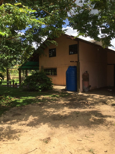 Midaly Vende Hermosa Finca, 240has, Entrada Al Tejero, A 250mts De La Virgen, Maturin, Monagas
