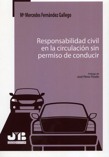 Libro Responsabilidad Civil En La Circulación Sin Permiso D