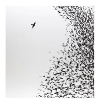 Comprar Wilco Sky Blue Sky 180 Gram Vinyl Importado 2 Lp Vinilo + Cd