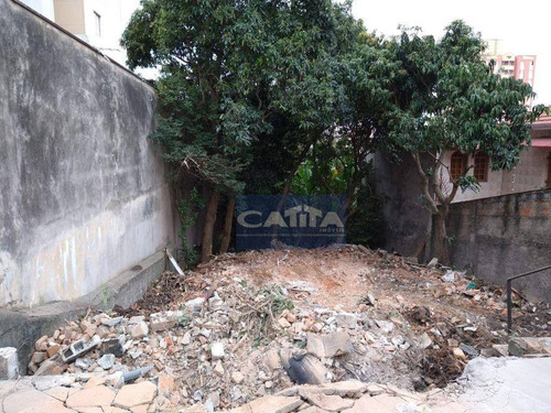 Terreno À Venda, 245 M² Por R$ 1.007.000,00 - Vila Matilde - São Paulo/sp - Te1384