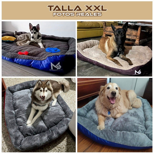 Imagen 5 de 9 de Super Combo / Cama Para Perros 2xl + Pechera Xl + Paseador