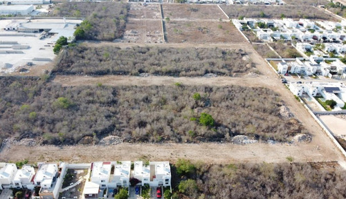 Imagen 3 de 4 de Dzitya Terrenos En Nuevo Bellavista Dzitya