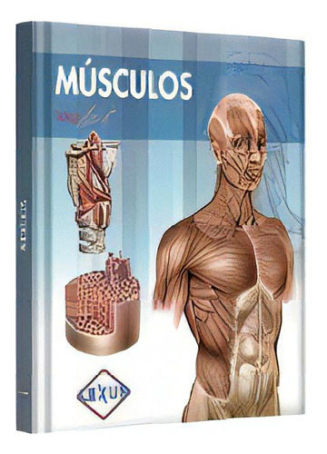Músculos, De Aa. Vv. Editorial Lexus Editores, Edición 1 En Español
