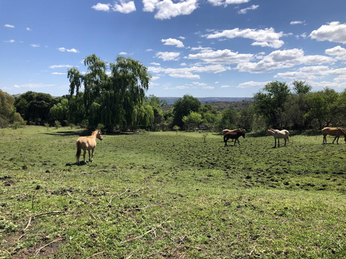 Campo En Venta Mina Clavero 9 ,3 Has Traslasierras!! ,,con Titulo, Bellisimo!!!