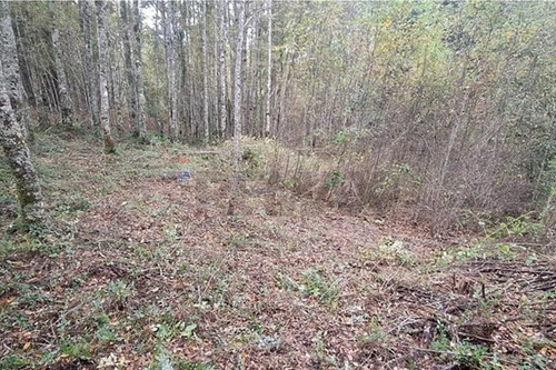 Venta De Terreno En Caburgua