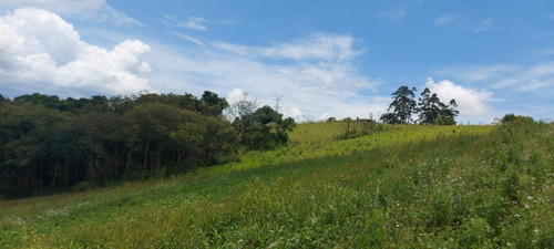 Imagem 12 de 24 de 10o', Terreno Cotia 500m² 35mil !