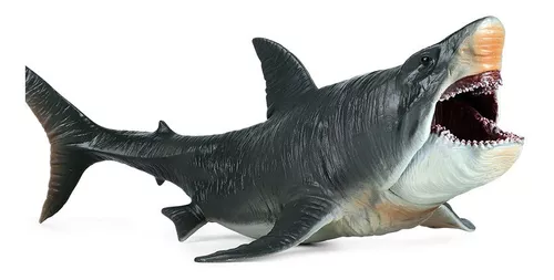 Comprar o Pacote dinheiro Megalodonte