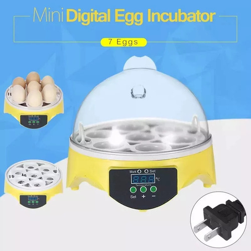 Incubadora Automática Pequena Para Uso Doméstico, 7 Ovos