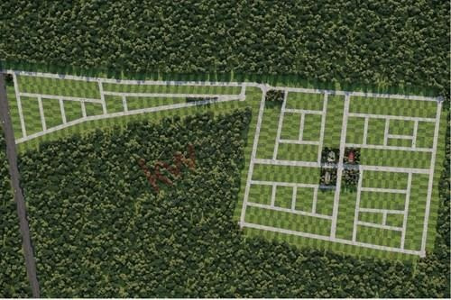 Imagen 11 de 21 de Terreno Preventa Campestre En Yucatàn, Venta Terreno En Dzidzantun, Terreno Venta Yucatàn, Inve...