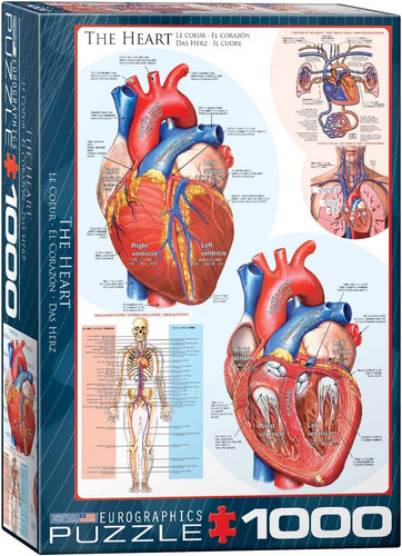 Eurographics Cuerpo Humano (el Corazón) Rompecabezas (1000 P