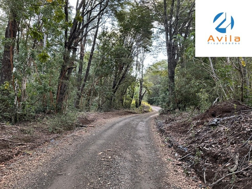 Pucón Caburgua La Barda Parcelas De 5.000m2 Cod.vtap178