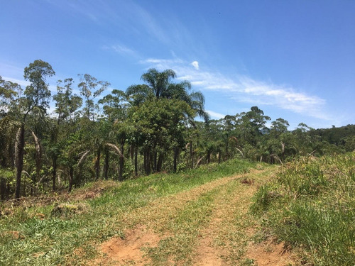 Imagem 7 de 13 de Jl- terreno 600m2 Disponível