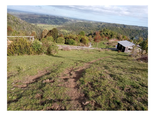 Imagen 3 de 8 de Se Vende Campo De 26.5 Hectareas Sector Los Muermos