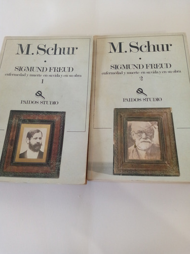 Sigmund Freud Enfermedad Y Muerte En Su Vida Y En Su Obra (Usado)