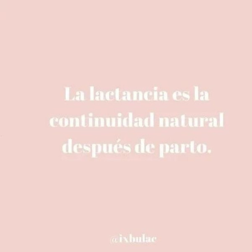 Té Ixbulac Para Lactancia
