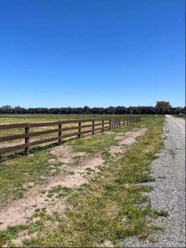 Terreno En Venta - 2752mts2 - Carlos Keen