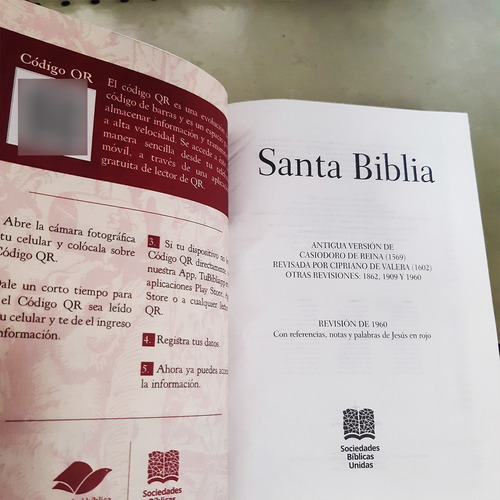 Imagen 4 de 7 de Biblia Del Oso Con Ayudas Digitales Vinotinto