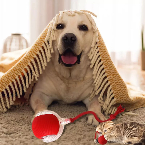 4pcs Smart Spinning Ball Pet Toy