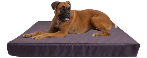 Cama Colchoneta Para Perros Lola Pets Antidesgarro 85x65 Cm