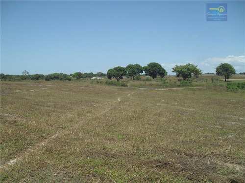 Imagem 22 de 30 de Terreno Residencial À Venda, Sede, Aquiraz. - Codigo: Te0015 - Te0015
