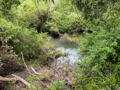 Chacra En Venta Sierras De Aiguá