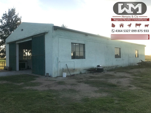 Venta Chacra Flores 5 Hectárea A 2 Km De Trinidad Flores