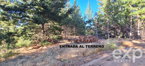 Vende Rebajado Parcela 1 Has Con Vista Al Mar, Pichilemu