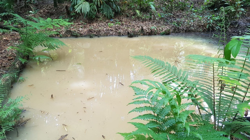 Iguape / Campo / Praia / Troca Cananeia / Oportunidade - 04813 - 33738836