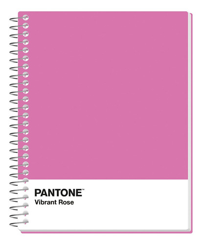 Pack 5 Cuadernos Premium Rhein Pantone