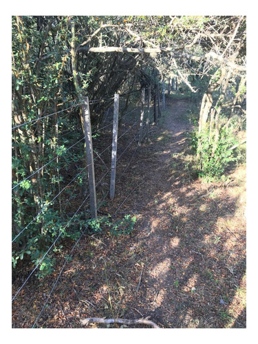 Imagen 3 de 7 de Campo En El Huayco Las Calles