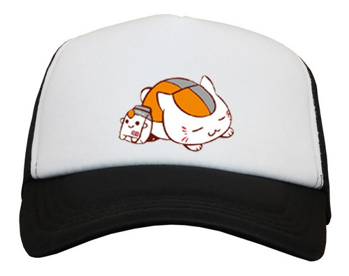 Natsume Yuujinchou Gorra Anime