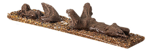 Roca De Decoración De Peces, Accesorios De Desierto