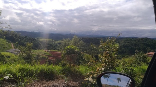 Imagem 1 de 4 de Terreno Rural Em Freguesia Da Escada - Guararema - 2719