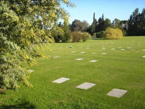 Imagen 5 de 5 de Parcelas En Cementerio Parque Los Cipreses Excelente Ubicacion!! - Disponible Por Urgencias.
