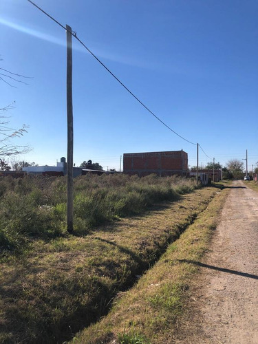Imagen 2 de 5 de Terreno - Los Hornos - 300 M2