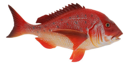 Juguetes Realistas De Animales Marinos Red Snapper [u]