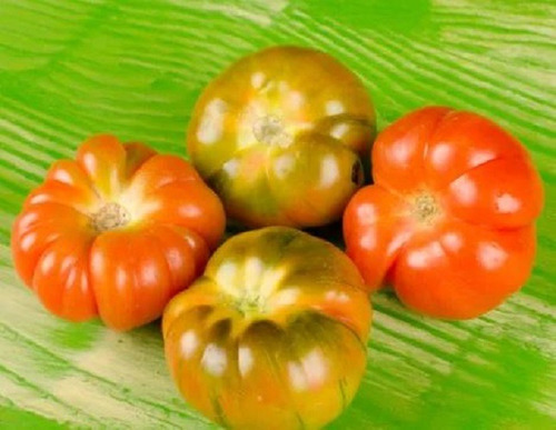 50 Semillas De Tomate Raf+ Instructivo