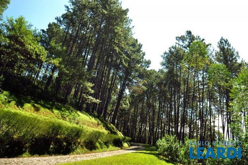 Imagem 5 de 15 de Chacara - Reserva - Sp - 341189