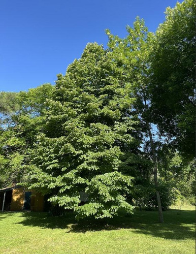 Terreno En Venta, Parque Natura, Los Cardales