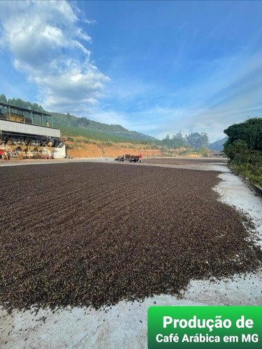 Imagem 11 de 15 de Fazenda, Para Venda Em Fervedouro/mg - Coffeefarm730