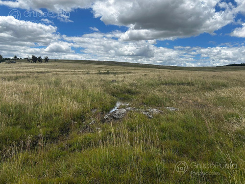 Campo En Venta - Rocha