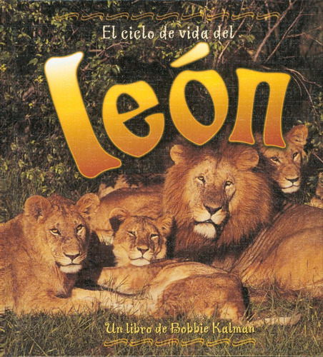 Libro: El Ciclo De Vida Del León (the Life Cycle Of A Lion)